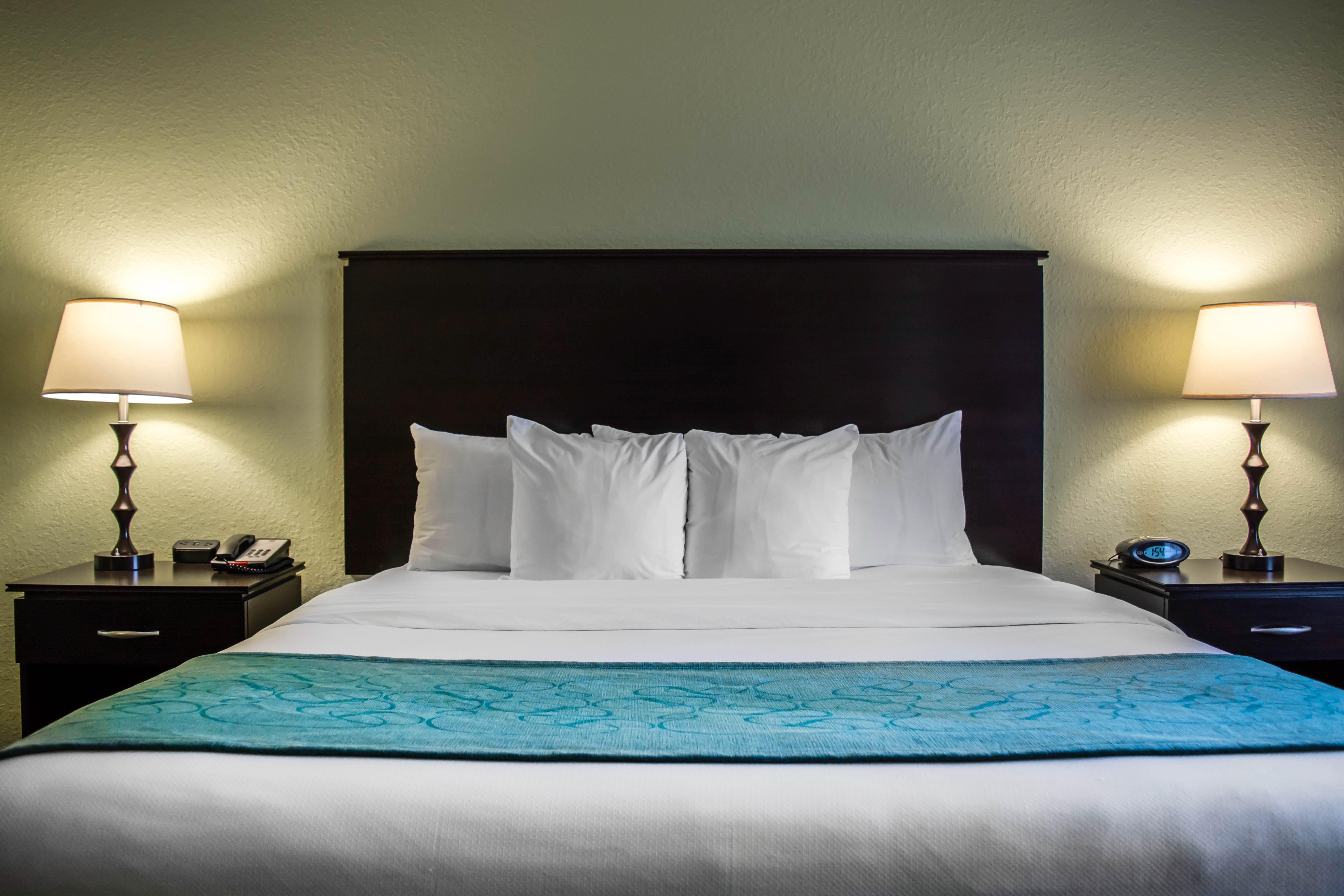 Hampton Inn By Hilton Tampa Fairgrounds Casino Esterno foto